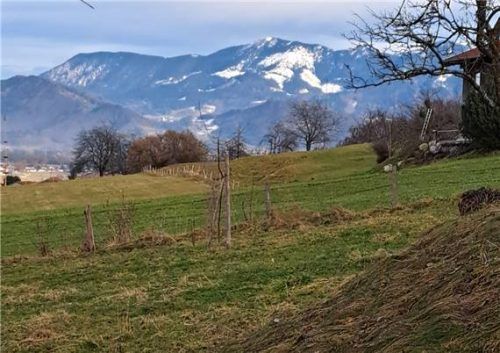 Die westliche Seite von Samerberg, Riesenberg, Hochries und Feichteck. Es hat hier schon viel geapert!Foto  Höfer