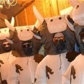 Tanzende Kühe beim närrischen Treiben