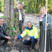 Schutz vor Hochwasser