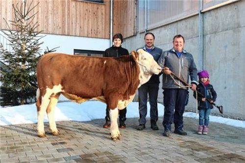 Familie Niederbuchner präsentierte den künftigen BVN-Besamungsbullen „Watzmann PP“ vor der Traunsteiner Chiemgauhalle. Foto re