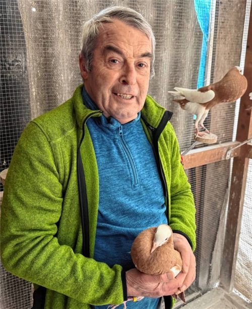 Großer Erfolg bei der deutschen Meisterschaft in der Rasse „Elsterkröpfer in Gelb“: Hans Schwarzenberger mit seiner Siegertaube. Foto Kotter