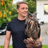 Jungschwan Hugo sorgt für Wirbel