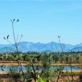 Neues Konzept für Filze