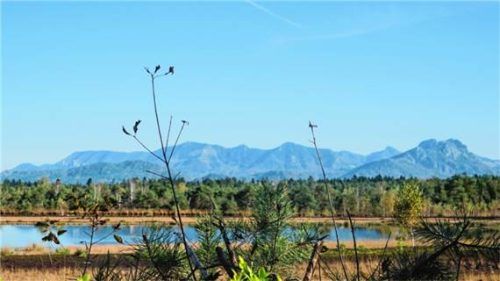 Idylle pur: Sterntaler Filze. Foto Chiemsee Alpenland Tourismus