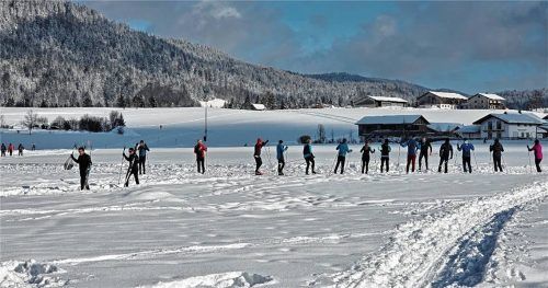 Im Inzeller Gemeinderat wurde die gute Präparierung der Inzeller Loipen gelobt. Viele Einheimische und Gäste kommen in die Eisschnelllaufmetropole, um Sport in der freien Natur auszuüben. Foto wEGSCHEIDER