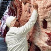 „Fleisch ist nicht gleich Fleisch“