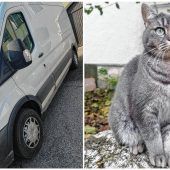 Tierdiebstahl mit Happy End