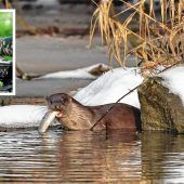 Erfolgreiche Motivjagd im Schlaraffenland