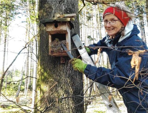 Maria Dirnaichner leert und reinigt einen Nistkasten. Foto bund naturschutz