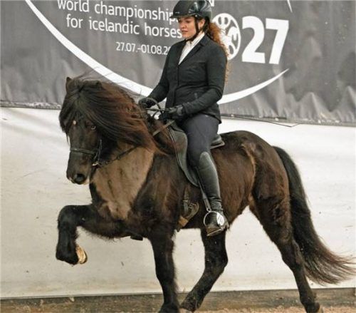 Marilyn Thoma (hier auf Keilir von Federath) wurde Töltpreis-Siegerin bei den Viking-Masters Anfang Februar auf dem Landgestüt Zweibrücken. Foto Saskia Schütz EYJA