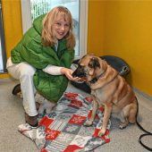 Rosenheimer Tierheim vor dem Aus