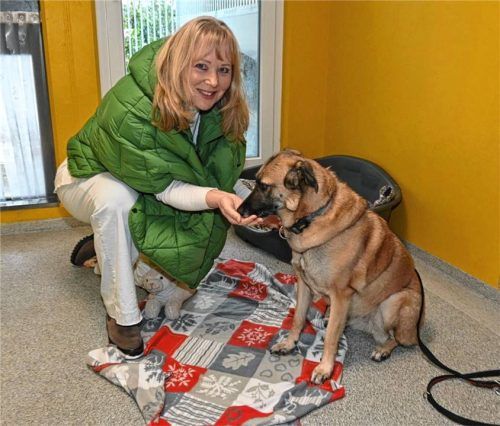 Mehr als 200 Tiere könnten bis zum Jahresende ihr Zuhause verlieren, der Tierschutzverein Rosenheim steht finanziell mit dem Rücken zur Wand. Andrea Thomas, Vorsitzende des Vereins, macht sich Sorgen um die Zukunft des Tierheims. Foto Peter Schlecker