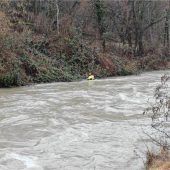 Geglückte Tierrettung bei Hochwasser