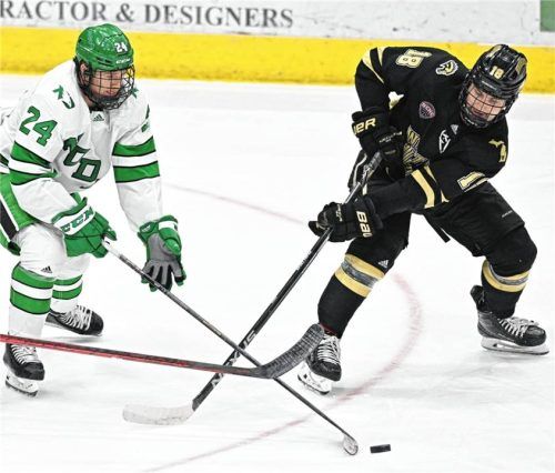 Schlagen die Starbulls noch einmal auf dem Transfermarkt zu? Der mögliche Neuzugang (rechts) spielte letzte Saison noch in den USA.Foto Imago