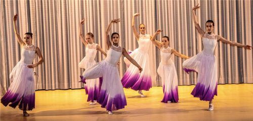 Viele Tänzerinnen tanzen bereits seit dem Kindesalter – und zeigten nun, was sie erlernt haben.Fotos Stache