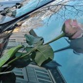 Rosen für Vorbilder, gelbe Karten als freundlicher Hinweis