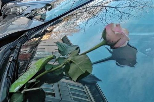 Wer korrekt parkt, hat am Valentinstag im Stadtgebiet Wasserburg gute Aussichten auf eine rote Rose.Foto re