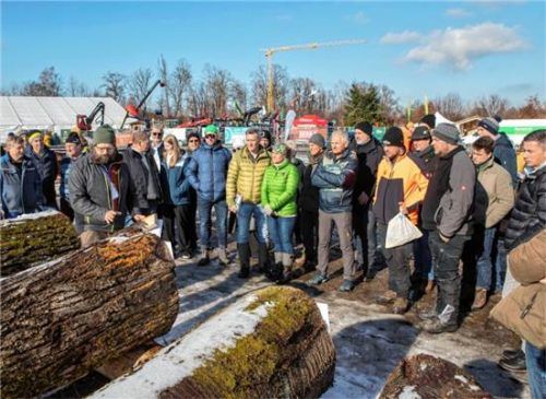 Zahlreiche Besucher begutachteten die ausgestellten wertvollen Baumstämme auf dem Almdorado-Gelände. Foto Gasser