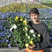 Hier wartet Münchens Frühling