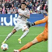 Zwischen Genie und Wahnsinn