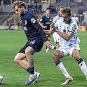 Krallt Euch die Zebras, Löwen!