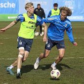 Promi-Löwen im Wartezimmer