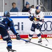 EHC zurück im Playoff-Geschäft
