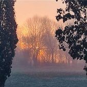 Wenn der Morgen erwacht