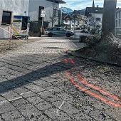 Ein Baum muss weg – Sicherheit geht vor