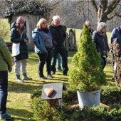 Gehölze fachgerecht schneiden