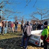 Wertvolle Tipps für den Baumschnitt