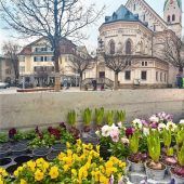 Rosenheim blüht auf