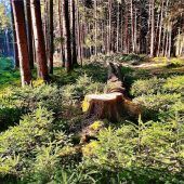 Auf das Neue im Leben achten