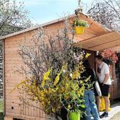 Haager Frühlingserwachen am kommenden Wochenende