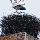 Frühlingsgefühle in luftiger Höh‘