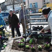 Frühjahrsblumen geben Marquartstein ein buntes Kleid