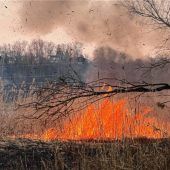 Große Rauchsäule über dem Innufer