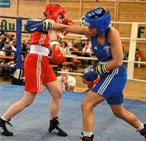 Auf dem Rosenheimer Starkbierfest wird auch an diesem Wochenende wieder geboxt.Foto Franz Ruprecht
