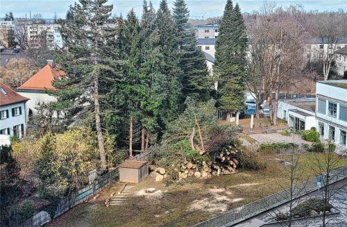 Aufgrund der Erweiterung des Medizischen Versorgungszentrums am Romed-Klinikum mussten etliche Bäume gefällt werden. Das ärgert die Anwohner. Foto privat