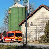 Weitere 60.000 Hähnchen müssen sterben