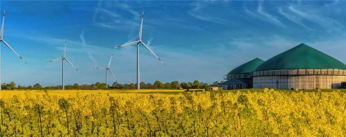 Biogasanlagen: Mit Gülle werden hier Strom und Wärme erzeugt. Foto adobe stock/Frederick Dörschem