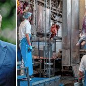 Kamerapflicht in Schlachthöfen für mehr Tierschutz