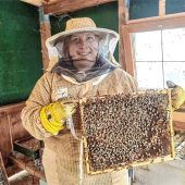 Was Imker jetzt für ihre Bienen tun müssen
