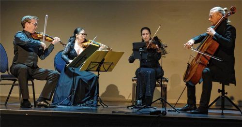 Das Minguet Quartett: (von links) Ulrich Isfort und Annette Reisinger (Violine), Aida-Carmen Soanea (Viola) und Matthias Diener (Cello). Foto Füchtner