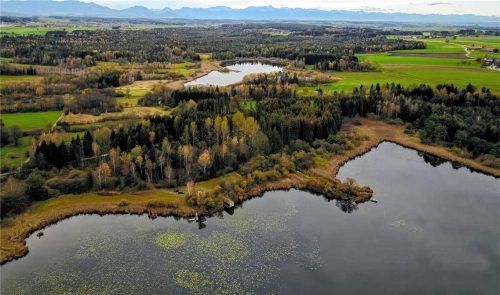 Der Ameranger und Zillhamer See sind seit Jahren mit Plastikgranulat verschmutzt. Foto Peters