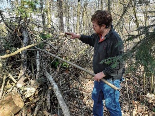 Der Landschaftsplaner schichtete Asthaufen auf, damit sich auch Rotkehlchen und Zaunkönige dort wohlfühlen können und dort gerne brüten.