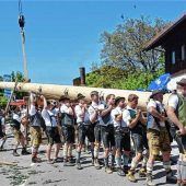 Rekordausgaben und Rekordeinnahmen