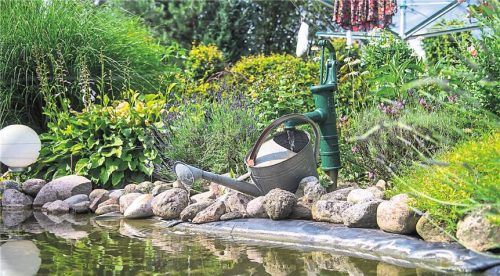 Der Winter hinterlässt Spuren am Teich. Jetzt ist der richtige Zeitpunkt, Ufer und Randbereiche in Ordnung zu bringen. Foto picture alliance/dpa/Benjamin Nolte