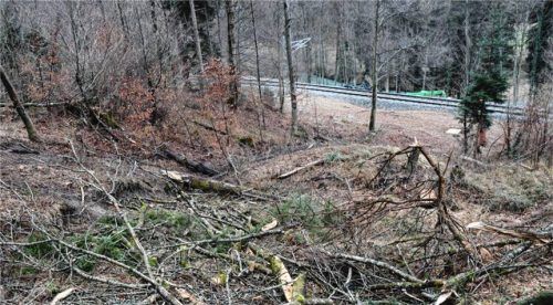 Die Bahnstrecke ist derzeit durch einen Hangrutsch blockiert.Foto  re