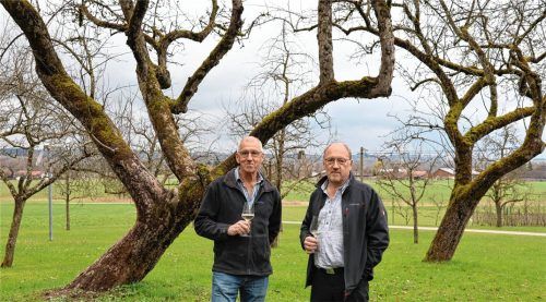Die Brüder Thomas (links) und Klaus Ettenhuber haben sich das Mosten selbst beigebracht und in Kursen immer mehr Wissen angeeignet. Die Äpfel dafür ernten sie in ihrem eigenen Obstgarten bei Schechen. Foto Mischner